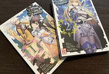 Angelesen mit Warnung: Is It Wrong to Try to Pick Up Girls in a Dungeon? – Band 1 + 2