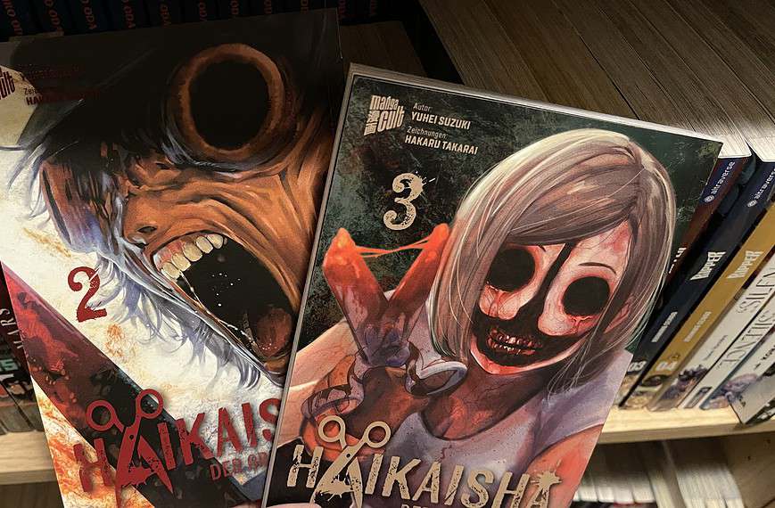 Das Ende von Haikaisha: Der Grenzgänger – Band 2 + 3