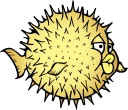 openbsd